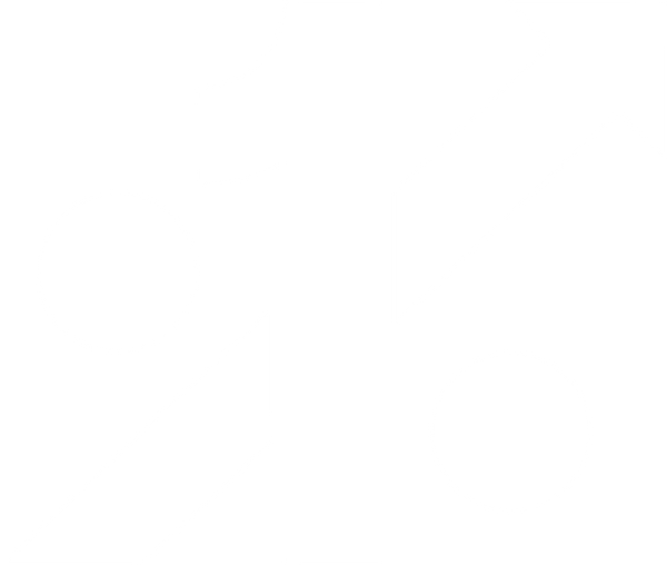 Onerise Vision